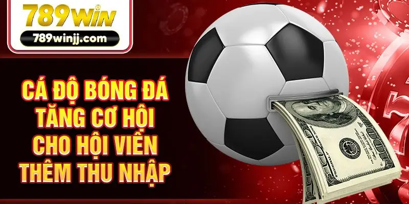 Cá độ bóng đá tăng cơ hội cho hội viên thêm thu nhập