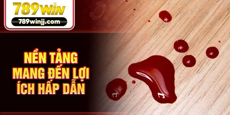 Nền tảng mang đến lợi ích hấp dẫn 