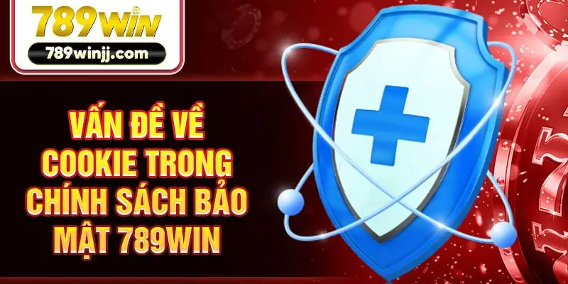 Vấn đề về cookie trong chính sách bảo mật 789win